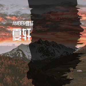 夏轩00008