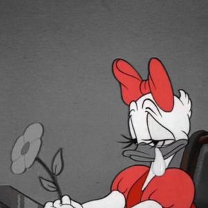 荷花（2015demo）