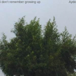 I Don't Remember Growing Up
