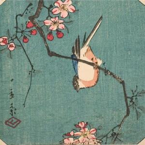 花枝春野（翻唱）