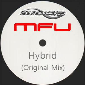Hybrid (Original Mix)