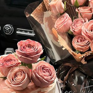 雪绒花