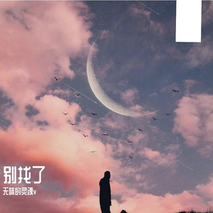 无味的灵魂v-别找了(Remix)