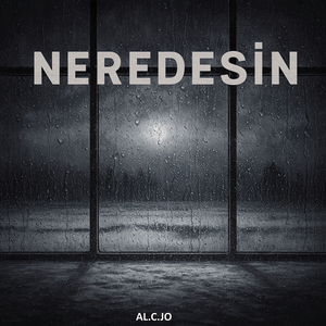 Neredesin