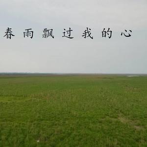 春雨飘过我的心
