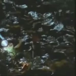 don't be scared, it's me