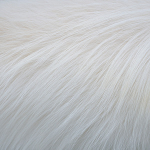 Massagino (feat. Florian Wahl)