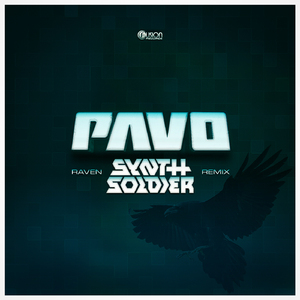 Raven (Synthsoldier Remix Edit)