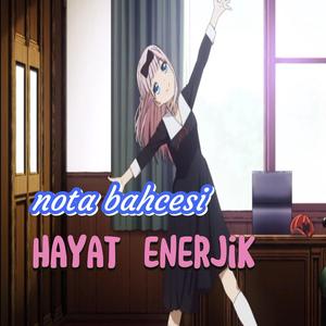 Hayat enerjik
