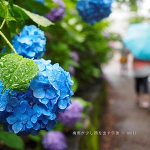 まだ、雨の帰り道 − not yet