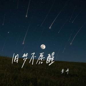 旧梦不愿醒