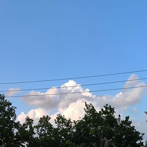 下次再见（翻唱风子live）