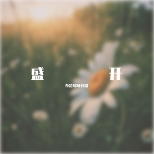 盛开（Prod by BECU BEATZ）