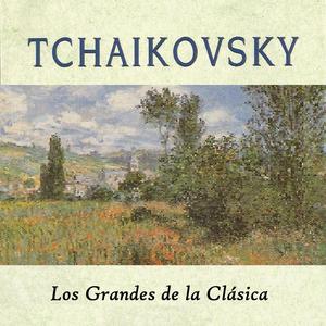 Violin Concerto in D Major, Op. 35: I. Allegro moderato