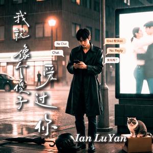 我就像个傻子爱过你