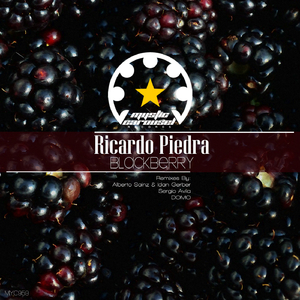 Blackberry (Sergio Avila Remix)