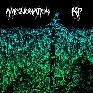 Ameliorate