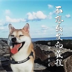 不想出发的旅程