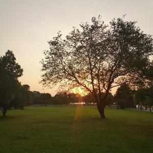 三寸天堂（二胡完整版）