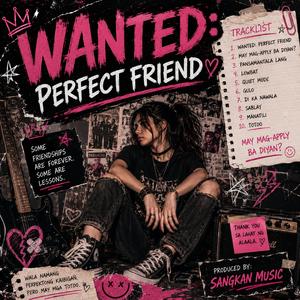Wanted : Perfect Friend