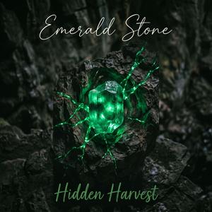 Hidden Harvest