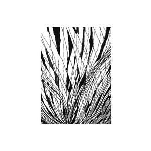 Best Friends Forever