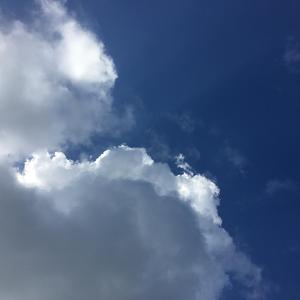 悲情面具 - 口琴