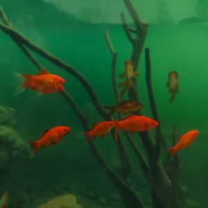 19 (prod.tired x roccky)