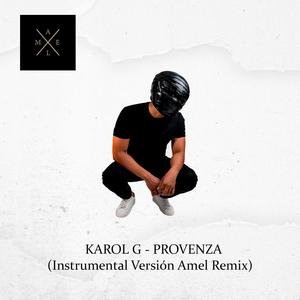PROVENZA (Amel Version Remix)