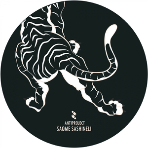 Saqme Sashineli (Solarmental Remix)