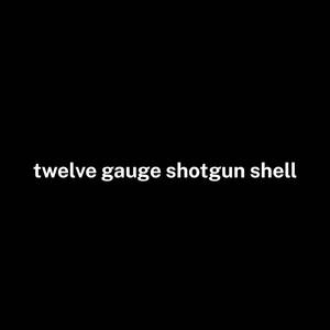 12 gauge shotgun shell