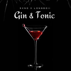 Gin & Tonic
