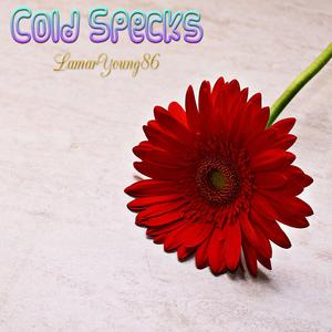 Dale Earnhardt Jr Jr