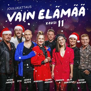 Joulupukki matkaan jo käy (Vain elämää kausi 11)