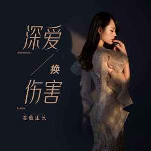 深爱换伤害 (DJ默涵版)