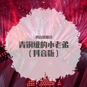 青铜级的小老弟（翻自 群星）