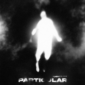 Particular