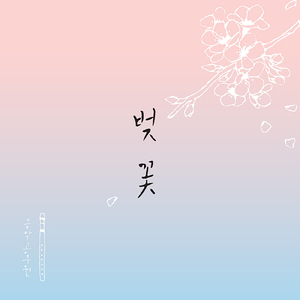 벚꽃 Cherry Blossom