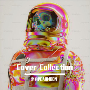 花枝春野（Cover 不才）