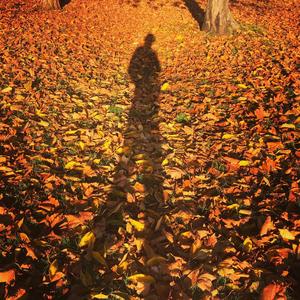 Some Nation Boy (Autumn Demo)