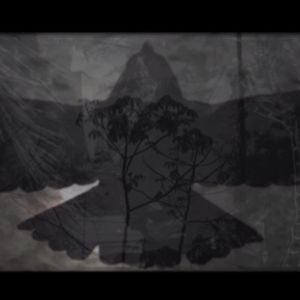 Sollte ich (Single Edit)