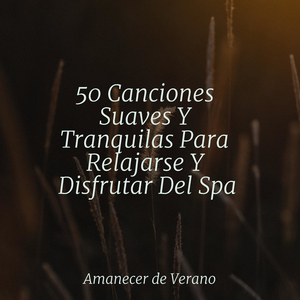 Canción de Cuna de la Nebulosa Encantada