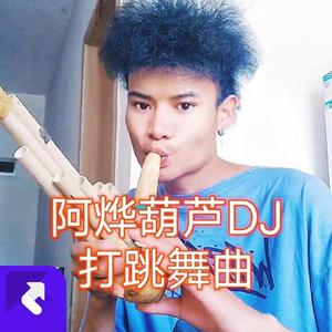 两步麻调DJ阿烨葫芦笙 (Remix)