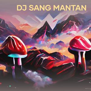 Dj Sang Mantan