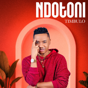 Ndotoni