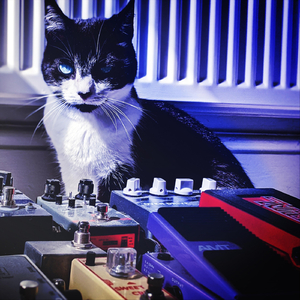 Partition (Live Lockdown Session)