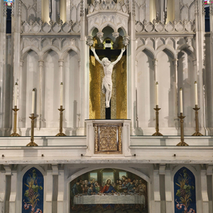 Come and Adore the Blessed Savior