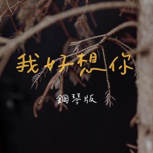 我好想你 (鋼琴版)