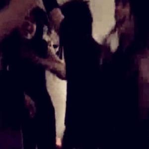 fly shit (feat. idkcap & Bloody!)