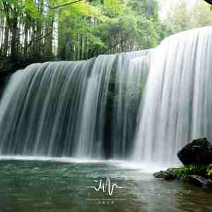 菩提静心 (古琴曲)